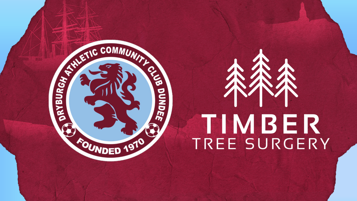 Timber Tree Surgery logo